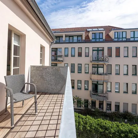 Design - Luise * Potsdam