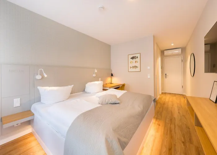 Design - Luise * Потсдам